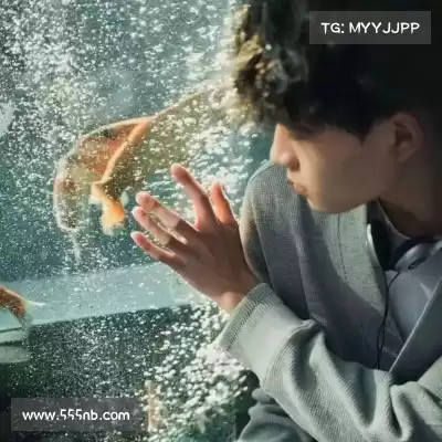 解泳榕
